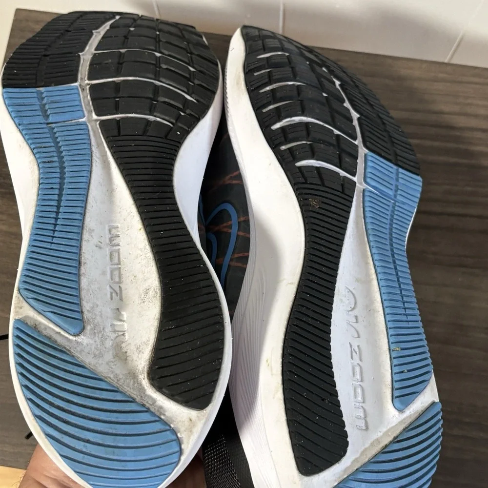 Nike zoom winflo